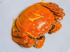 -食廬NOBLE(凯德晶萃店)