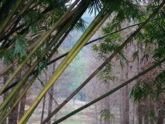 -广州市白云山风景名胜区
