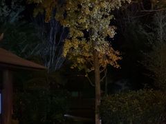 -大理地热国