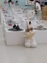 -Moni星球萌宠·小马宝莉·灵蛇·高端高阶全萌宠互动体验俱乐部(红豆国际广场店)