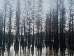 -白鹭湾湿地公园