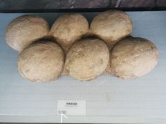 -湖南省地质博物馆