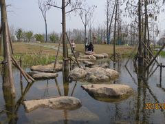 -上海长兴岛郊野公园