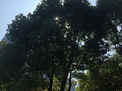 -重庆市江北嘴中央商务区中央公园