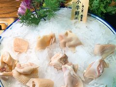 -九鼎轩脆毛肚火锅(三钢里店)