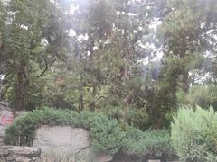 -玲珑塔公园