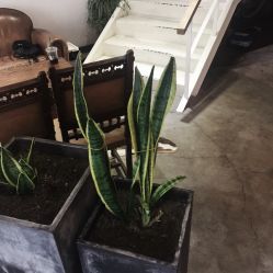 点击看大图 -M+hair salon专业造型沙龙
