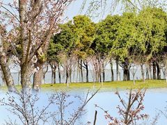 -阳澄湖半岛旅游度假区