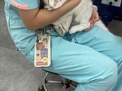 -瑞鹏宠物医院犬猫全科(真大分院)