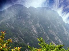 -黄龙山原始森林景区