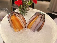 六头鲍鱼-红雀围·海鲜火锅(陆家嘴中心店)