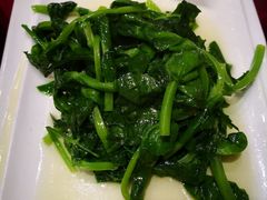 清炒豆苗-梅龙镇酒家(南京西路总店)