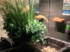 -新盈光·旗舰店(海曙苍松路店)