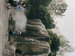 -合肥滨湖国家森林公园