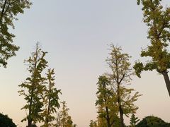 -明故宫遗址公园