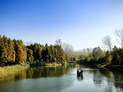 -溱湖国家湿地公园