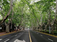 -徐家汇源景区-衡山坊