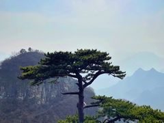 -圣莲山风景区