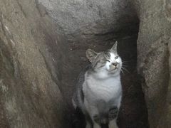 -崂山巨峰游览区