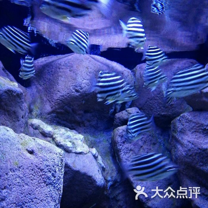 海濱城浩海立方海洋館