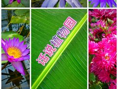 -国家植物园南园