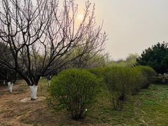 -永定河休闲森林公园