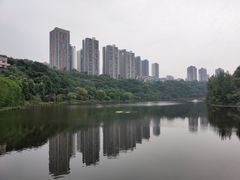 -重庆彩云湖湿地公园