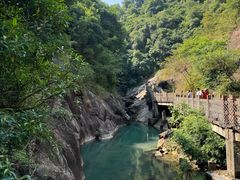 -广州白江湖森林公园