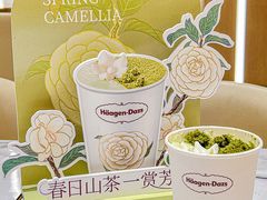 -哈根达斯(国瑞店)