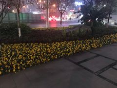 -龙头寺公园