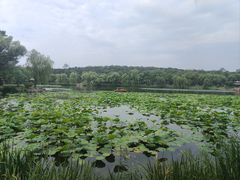 -承德避暑山庄景区