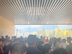 -千年银杏谷文化旅游区