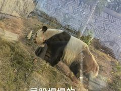 -泉州海丝野生动物世界