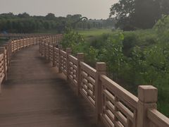 -南京枫彩漫城