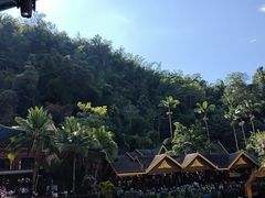 -西双版纳原始森林公园