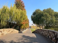-乌村
