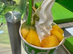 -Salud撒露欧洲冻酸奶(蓝色港湾店)