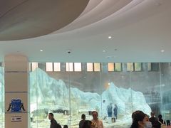 -帝企鹅自助餐厅•儿童岛•真企鹅(长隆企鹅酒店)