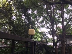 -齐岸健身(花园城店)