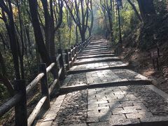 -苏州上方山国家森林公园