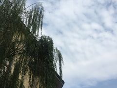-项记面馆(明瓦廊店)