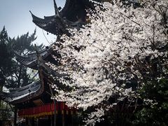 -龙华寺