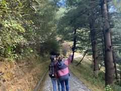 -苍山感通索道