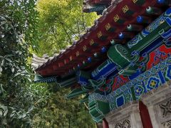 -罔极寺
