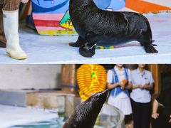 -南昌海洋公园
