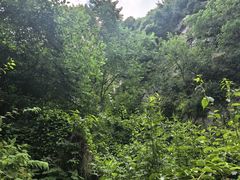 -抱龙峪