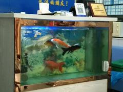 -朋朋修脚(友好广场店)