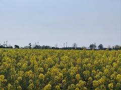 -中国天府农业博览园