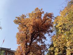 -终南山南五台景区