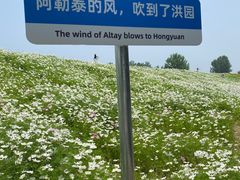 -天禄堂西溪庄园